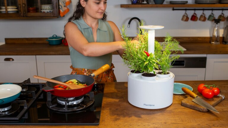 Plantone 2.0 automated indoor garden grows up to 5 plants easily on your counter