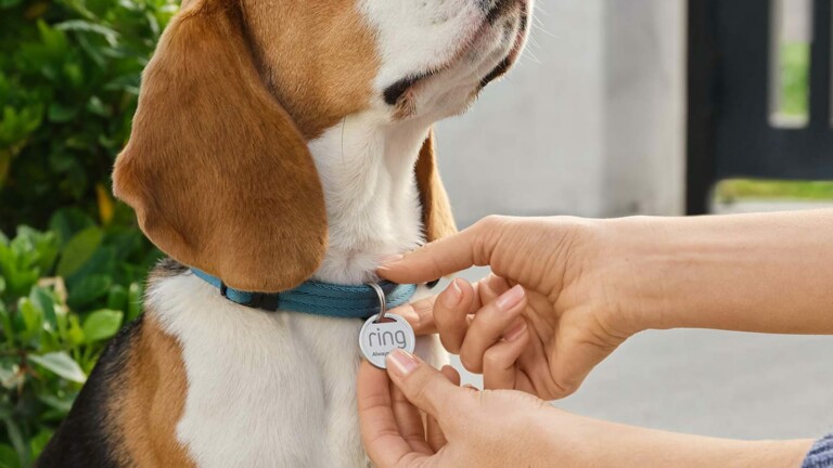 Ring Pet Tag features a custom QR code on the back that enables anonymous communication